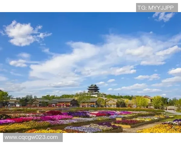 冬奥遗产场馆全面开放市民热情高涨打卡成网红热点